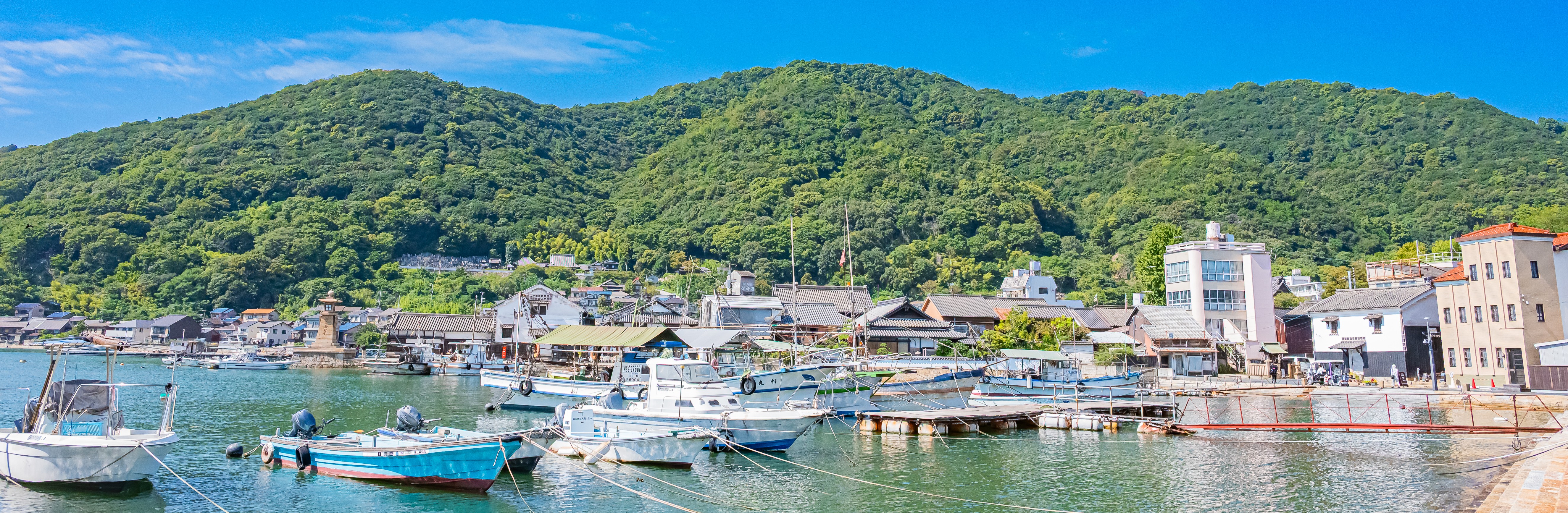 行政書士事務所moyai